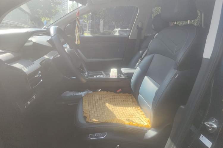 Used Livan 9 2023 470 km Leading Edition Left Front Seat