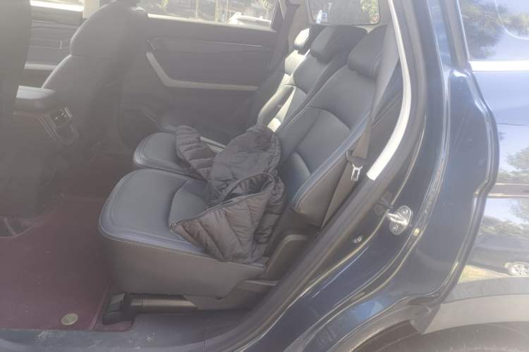 Used Livan 9 2023 470 km Leading Edition Left Rear Seat