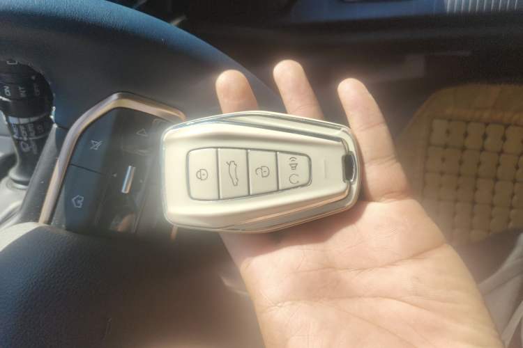 Used Livan 9 2023 470 km Leading Edition Vehicle Key