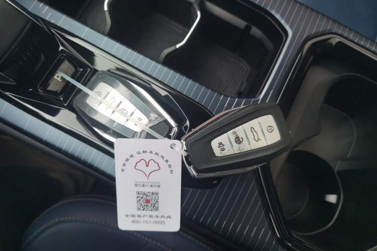 Used Livan 9 2023 470 km Founder Edition Interior 1