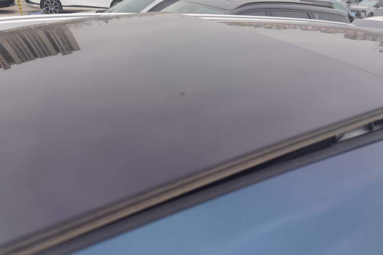 Used Livan 9 2023 470 km Founder Edition Roof