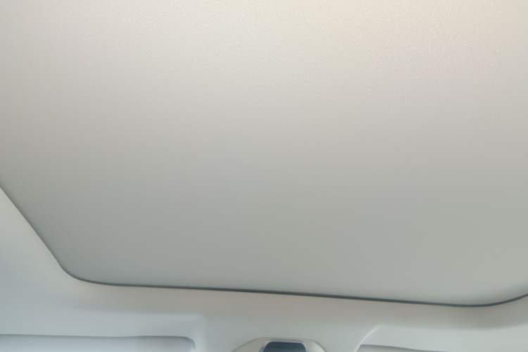 Used Livan 9 2023 470 km Leading Edition Headliner