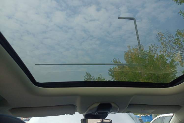 Used Livan 9 2023 470 km Leading Edition Headliner