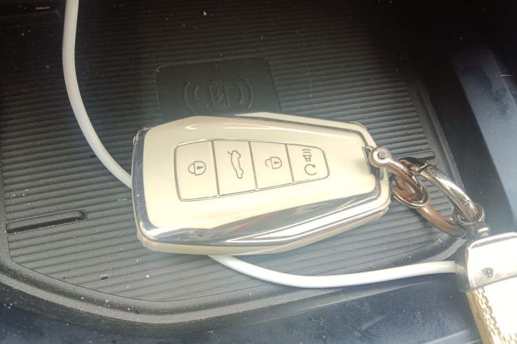 Used Livan 9 2023 470 km Leading Edition Vehicle Key