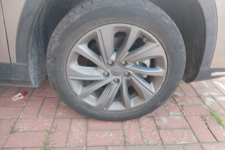 Used Livan 9 2023 470 km Founder Edition Right Front Wheel Hub