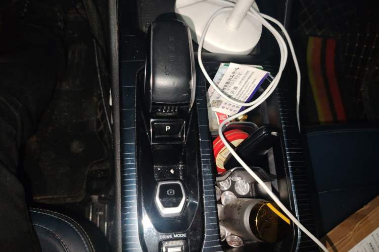 Used Livan 9 2023 470 km Leading Edition Gear Lever