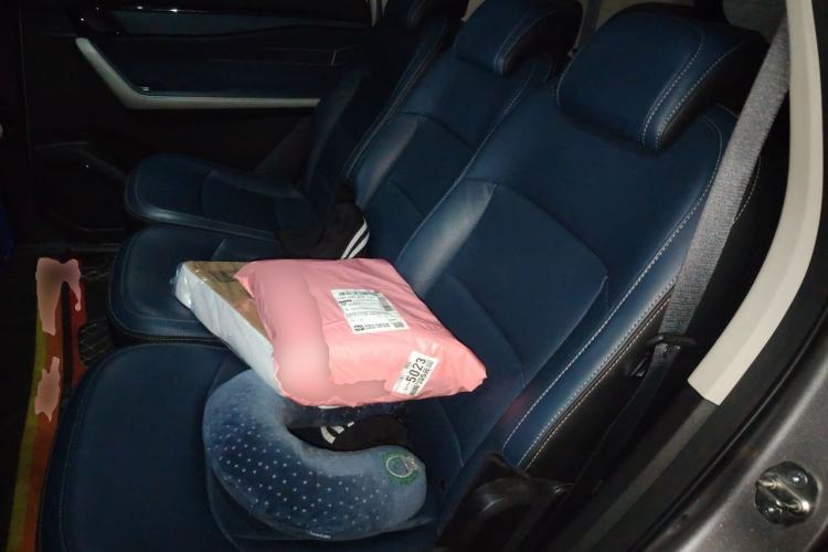 Used Livan 9 2023 470 km Leading Edition Left Rear Seat