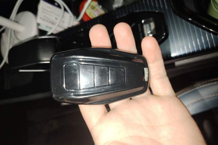 Used Livan 9 2023 470 km Leading Edition Vehicle Key