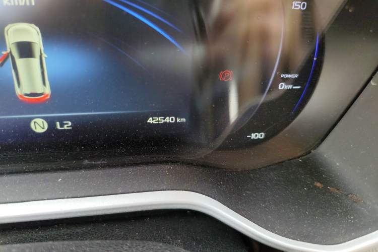 Used Livan Maple 30X 2020 Style Edition Odometer Close Up