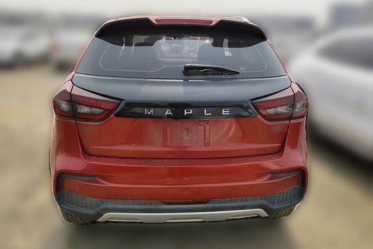 Used Livan Maple 30X 2020 Style Edition Rear