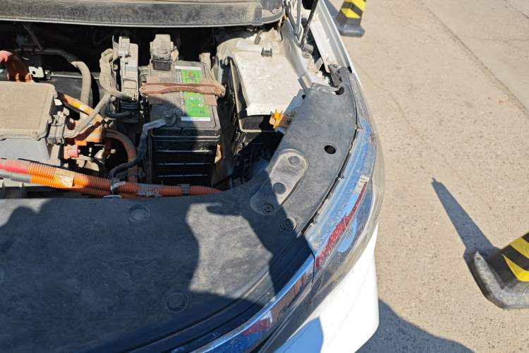 Used Livan Maple 30X 2020 Style Edition Engine Bay Left