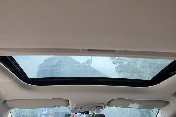 Used Livan Maple 30X 2020 Style Edition Headliner