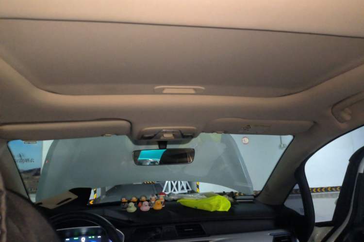 Used Livan Maple 30X 2020 Style Edition Headliner