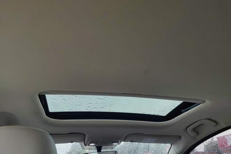 Used Livan Maple 30X 2020 Style Edition Headliner