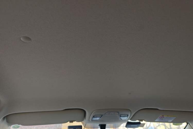 Used Livan Maple 30X 2020 Style Edition Headliner