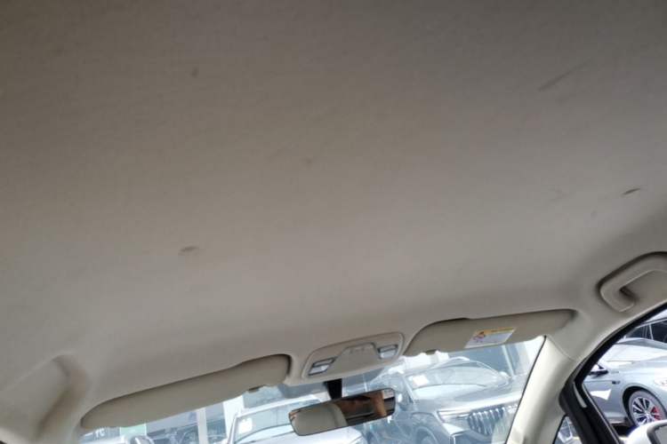 Used Livan Maple 30X 2020 Style Edition Headliner