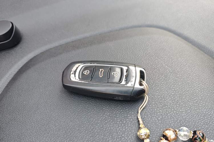 Used Livan Maple 30X 2020 Style Edition Interior 1