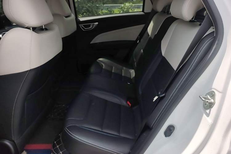 Used Livan Maple 30X 2020 Style Edition Left Rear Seat