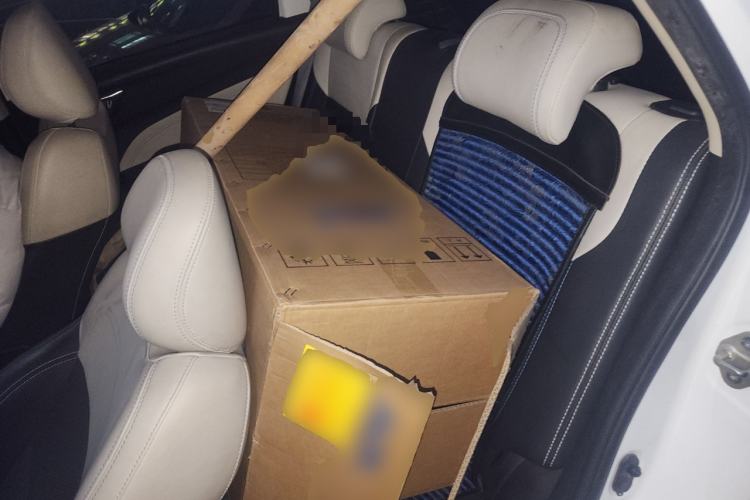 Used Livan Maple 30X 2020 Travel Edition Left Rear Seat