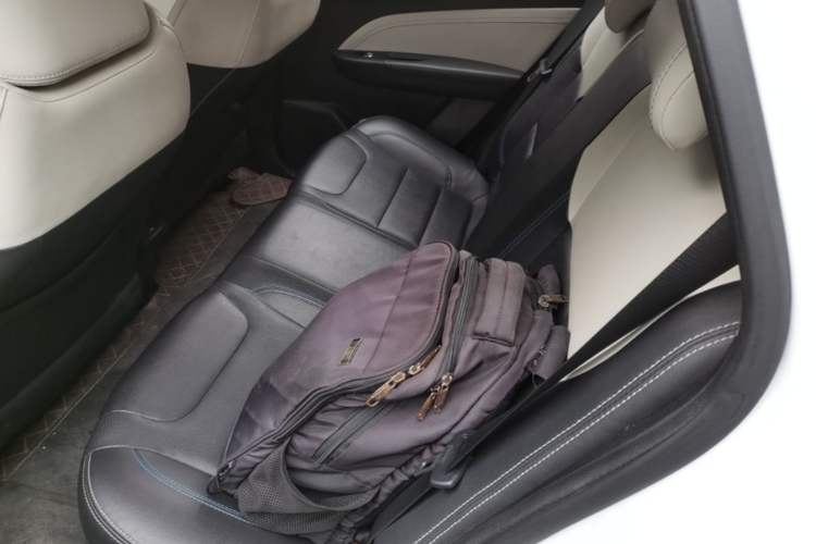 Used Livan Maple 30X 2020 Style Edition Left Rear Seat