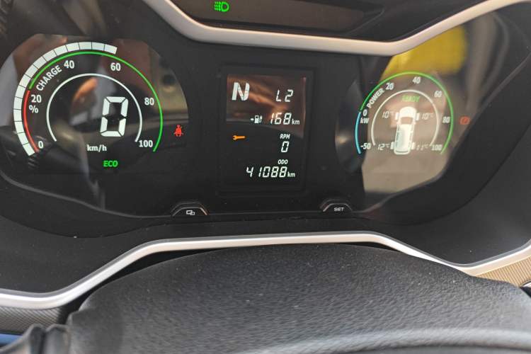 Used Livan Maple 30X 2020 Style Edition Odometer Close Up