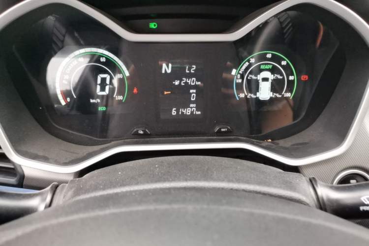 Used Livan Maple 30X 2020 Style Edition Odometer Close Up