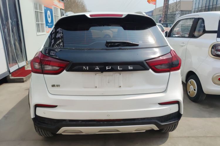 Used Livan Maple 30X 2020 Style Edition Rear