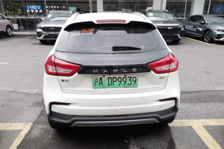 Used Livan Maple 30X 2020 Style Edition Rear