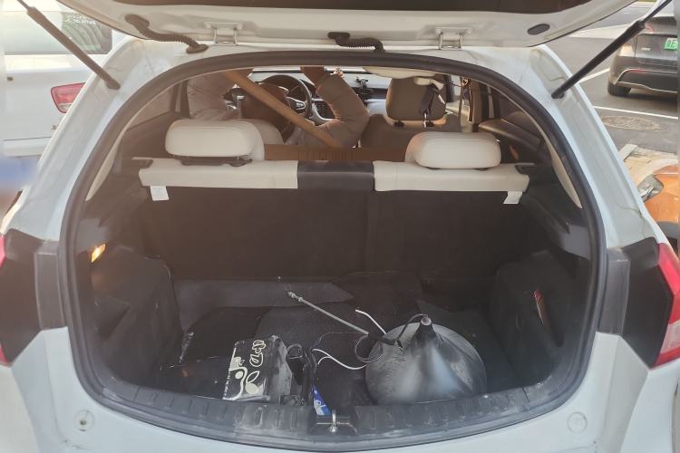 Used Livan Maple 30X 2020 Travel Edition Trunk