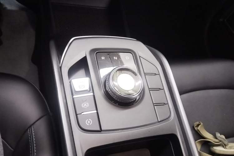 Used Livan Maple 60s 2022 Revised Edition Easy-Drive Version Lithium Iron Phosphate Gear Lever