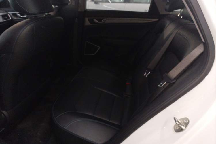 Used Livan Maple 60s 2022 Revised Version Easy-Drive Edition Lithium-Ion Left Rear Seat
