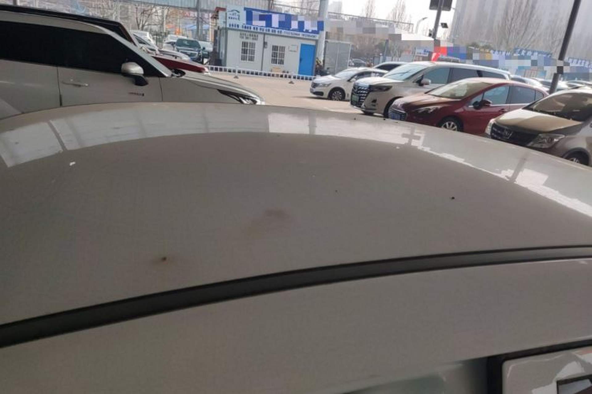 Used Livan Maple 60s 2025 Travel Edition Roof