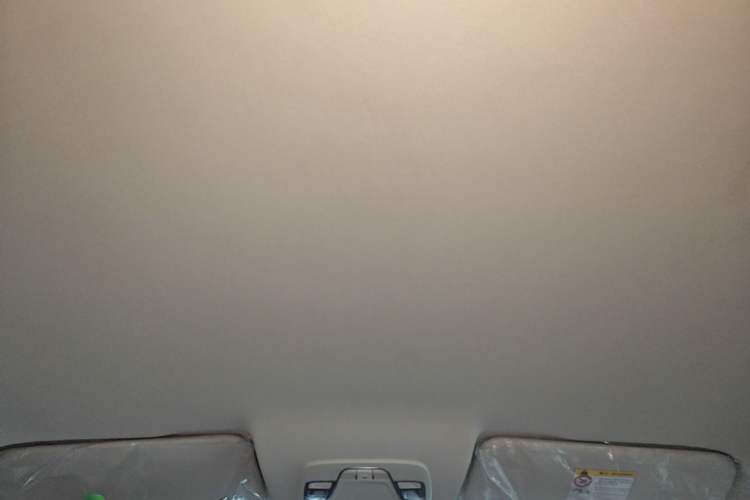 Used Livan Maple 80V 2021 Youtong Edition Ternary Lithium Headliner