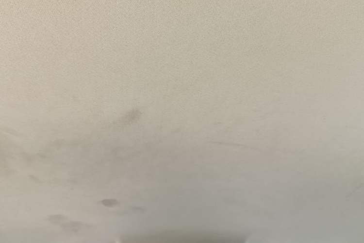 Used Livan Maple 80V 2021 Easy-to-Replace Version Lithium Ternary Headliner