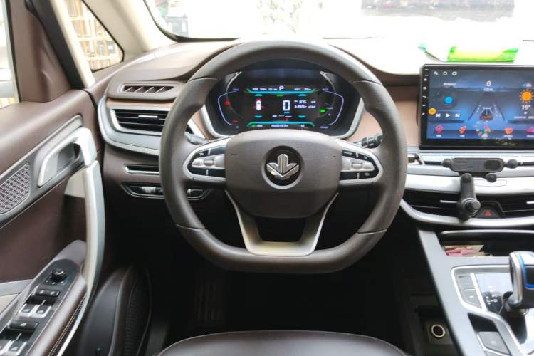 Used Livan Maple 80V 2021 Battery-Swap Premium Edition Lithium NMC Steering Wheel