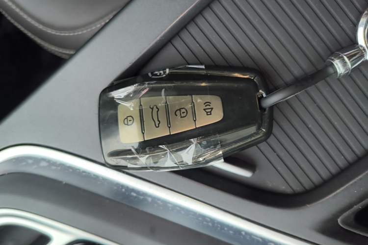 Used Livan Maple 80V 2021 Easy-Drive Version Lithium Iron Phosphate Vehicle Key