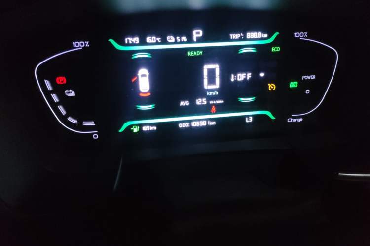 Used Livan Maple 80V  Odometer Close Up