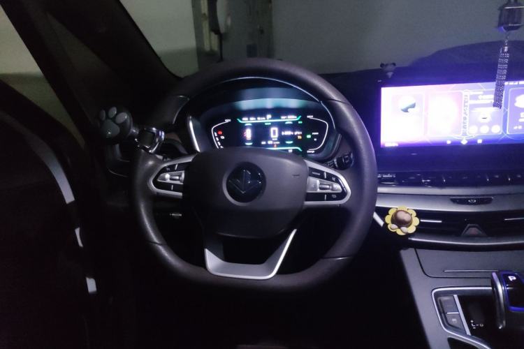 Used Livan Maple 80V  Steering Wheel