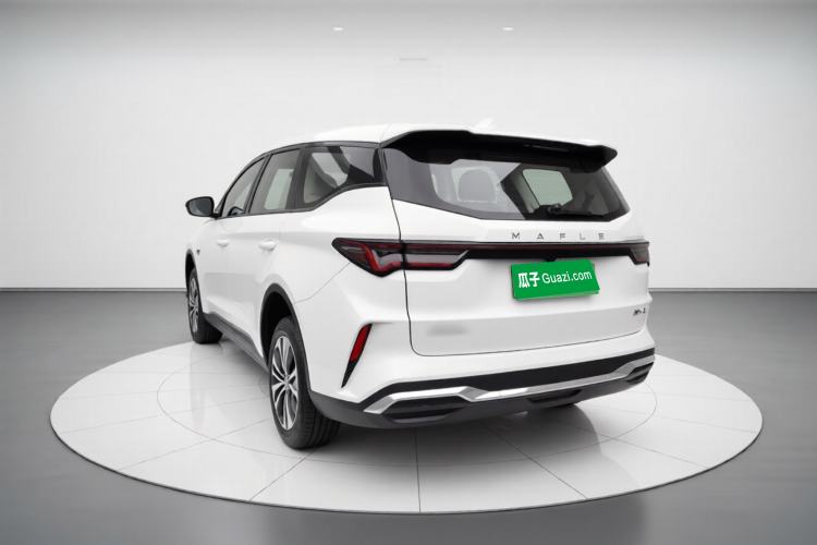 Used Livan Maple 80v L 2024 407 km 6 Seats Exterior 3