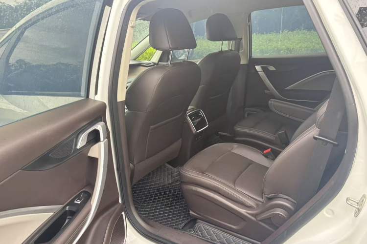 Used Livan Maple 80v L 2024 515 km Range 7 Seats Interior 3
