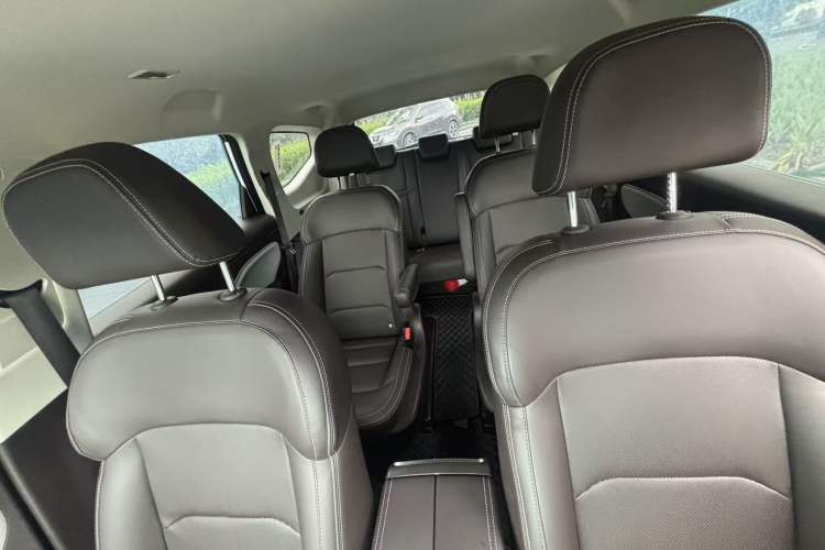 Used Livan Maple 80v L 2024 515 km Range 7 Seats Interior 4