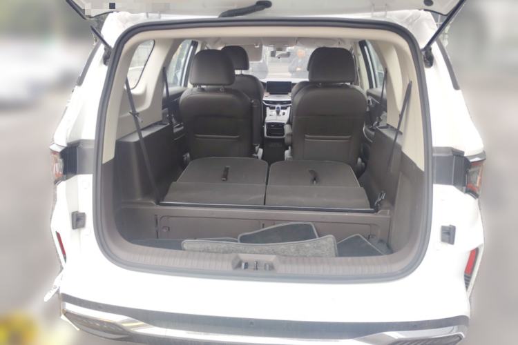 Used Livan Maple 80v L 2024 407 km 6 Seats Trunk