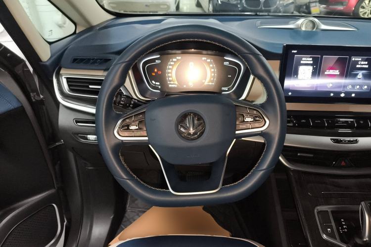 Used Livan Maple 80v PRO 2022 Comfort Edition Standard Range Version Steering Wheel