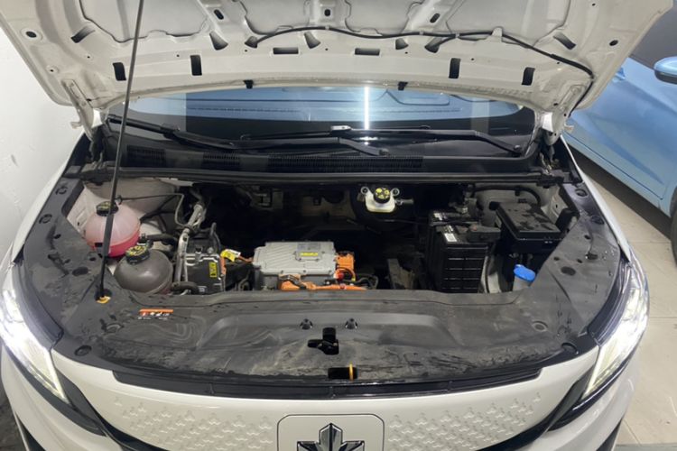 Used Livan Maple 80v PRO 2022 Comfort Edition Standard Range Version Engine Bay