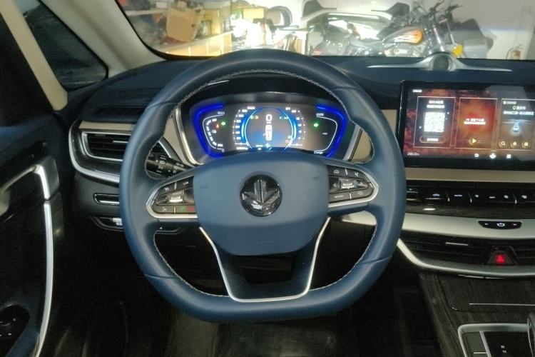 Used Livan Maple 80v PRO 2022 Comfort Edition Standard Range Version Steering Wheel