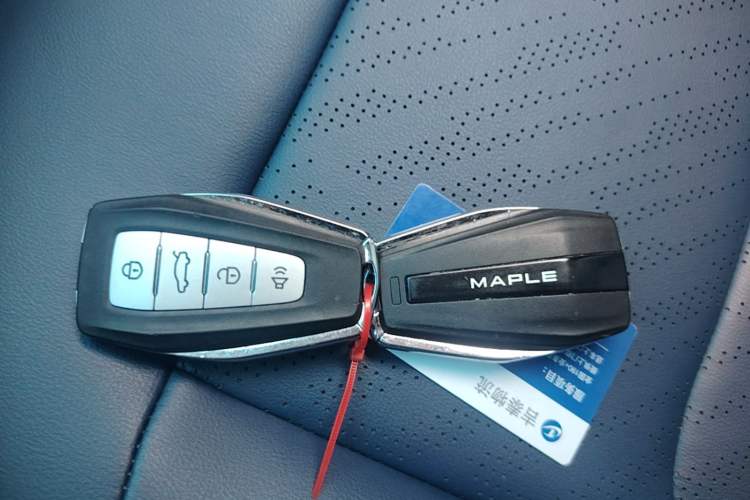Used Livan Maple 80v PRO 2022 Comfort Edition Standard Range Version Vehicle Key