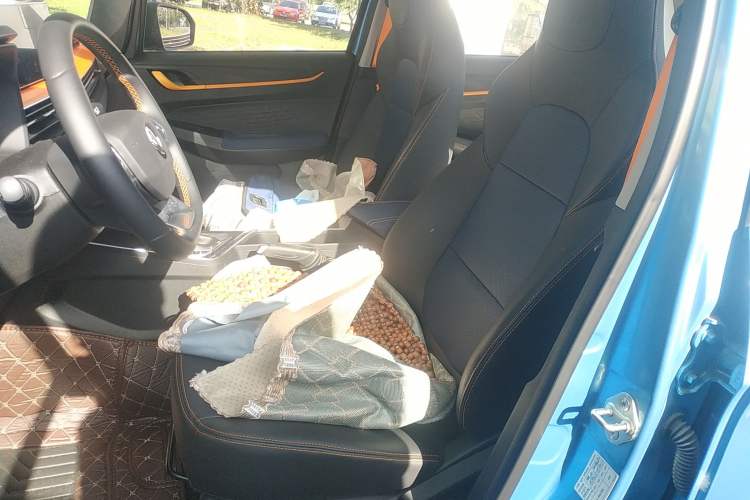 Used Livan X3 PRO 2022 1.5L CVT Xiao Sa Left Front Seat