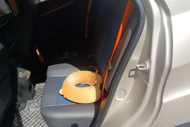 Used Livan X3 PRO 2022 1.5L CVT Xiao Sa Left Rear Seat