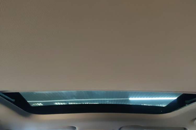 Used Livan X3 PRO 2022 1.5L CVT Xiao Sa Headliner