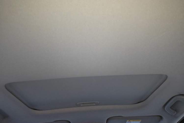 Used Livan X3 PRO 2022 1.5L CVT Xiao Sa Headliner